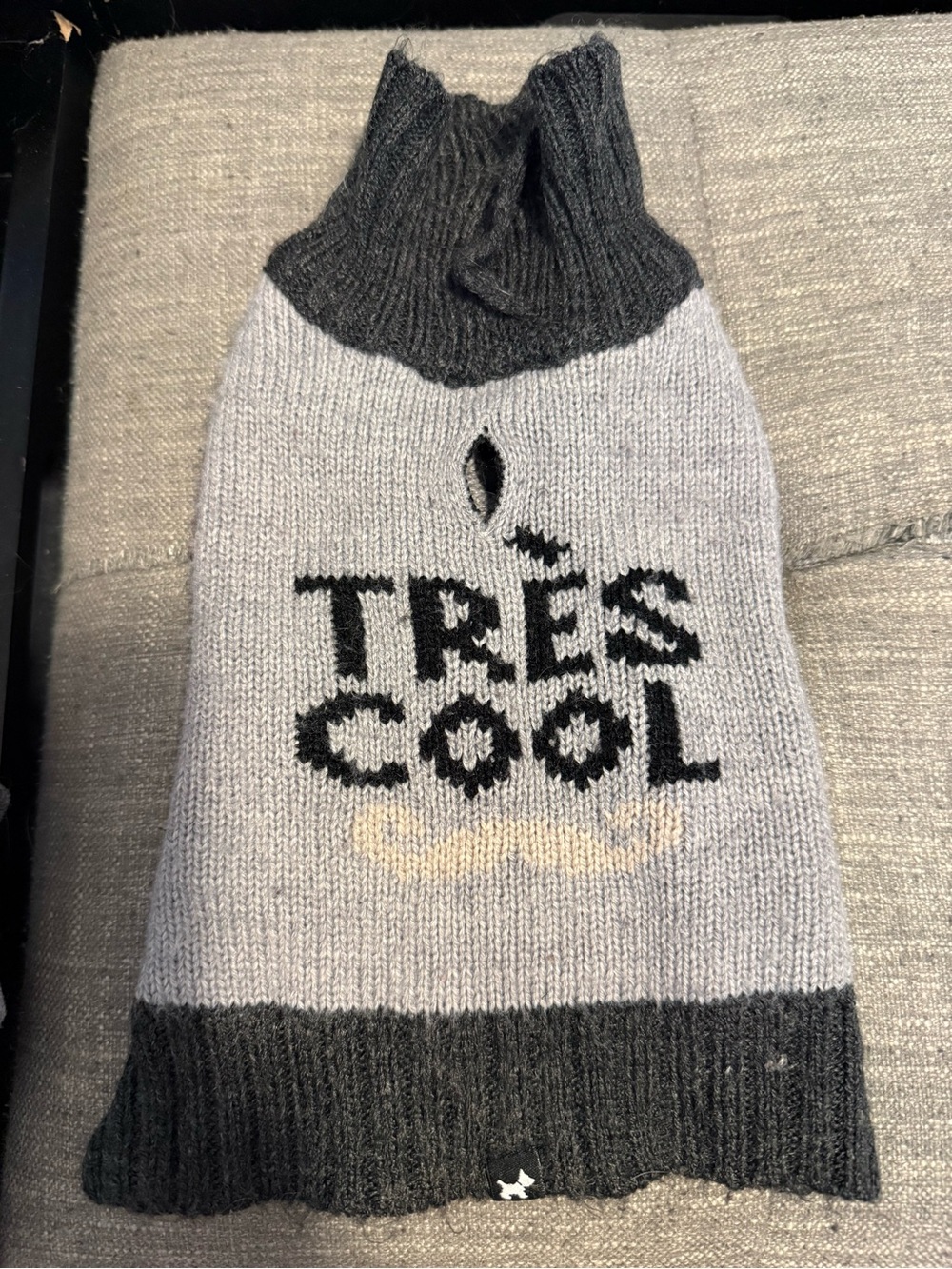 Dog Grey Knit Underwear Top with 'Très Cool' Graphic XS